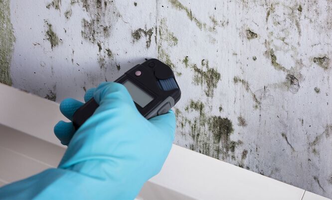 Feuchtigkeitsmessung an Wandfläche mit Feuchtigkeitsmessgerät