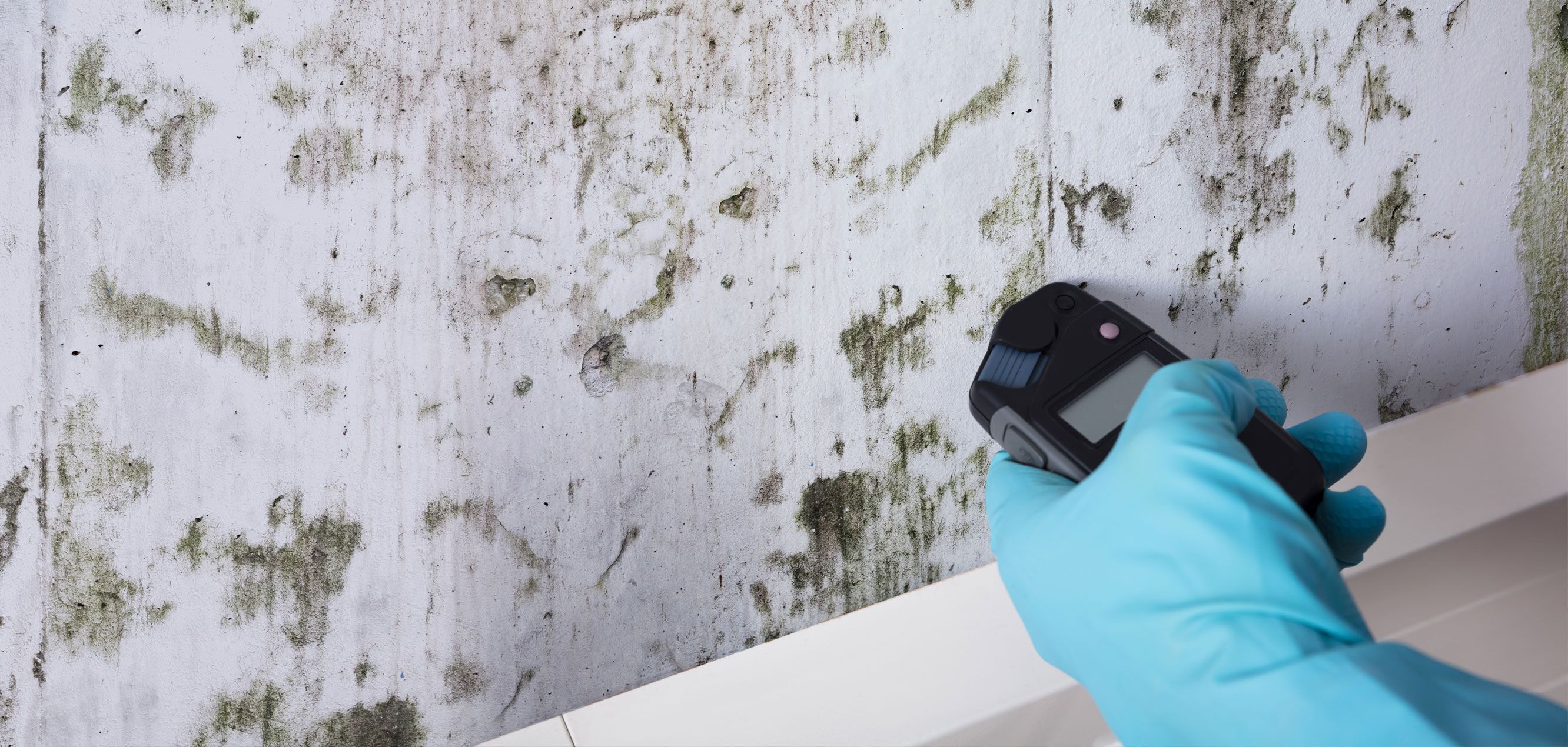 Feuchtigkeitsmessung an Wandfläche mit Schimmelbefall