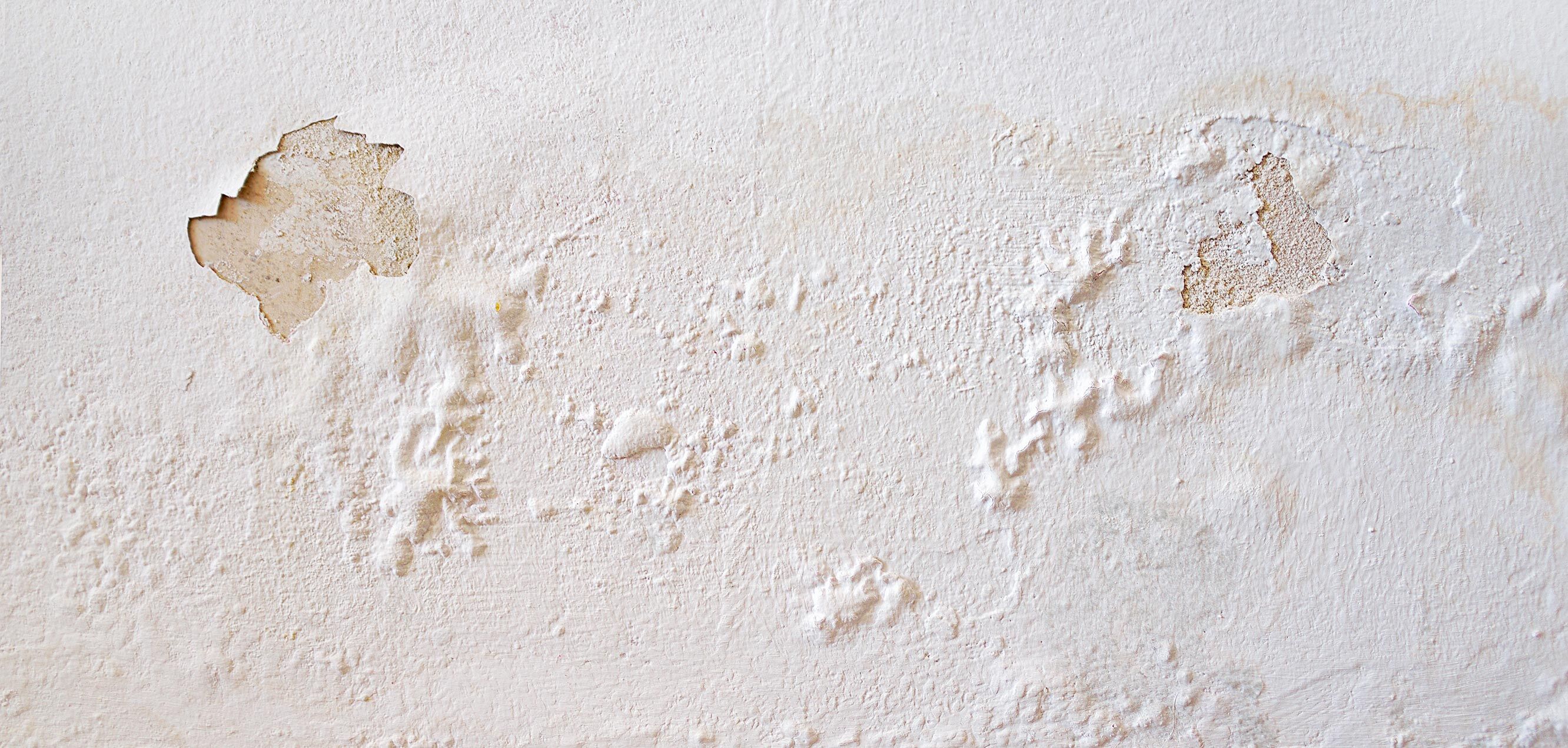 Blasenbildung an einer Wand mit Beschichtung