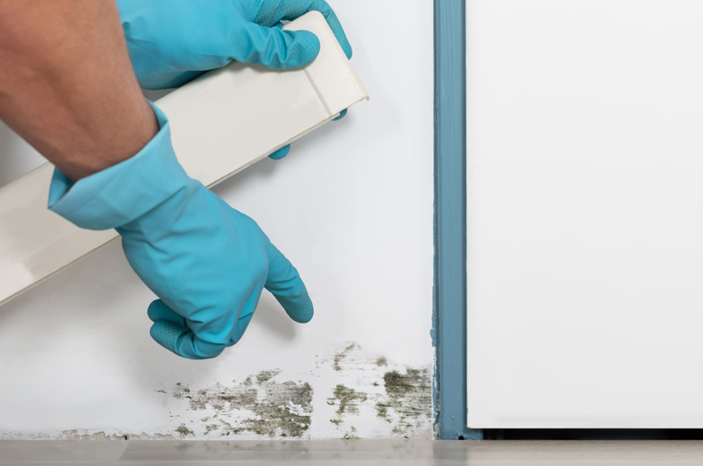 Schimmelpilzbildung hinter einer Fußleiste