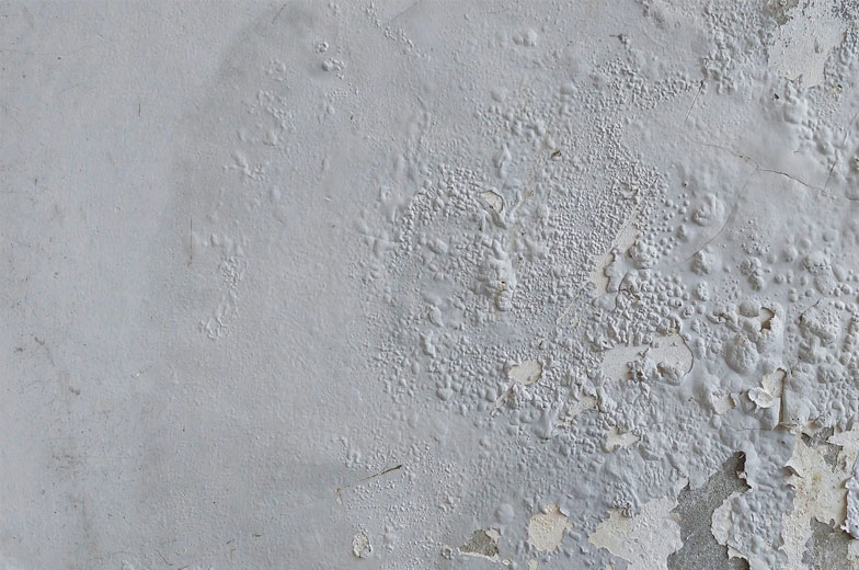 Blasenbildung durch Feuchtigkeitsschaden an einer Wand